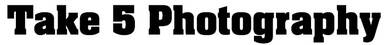 Take 5 Photography